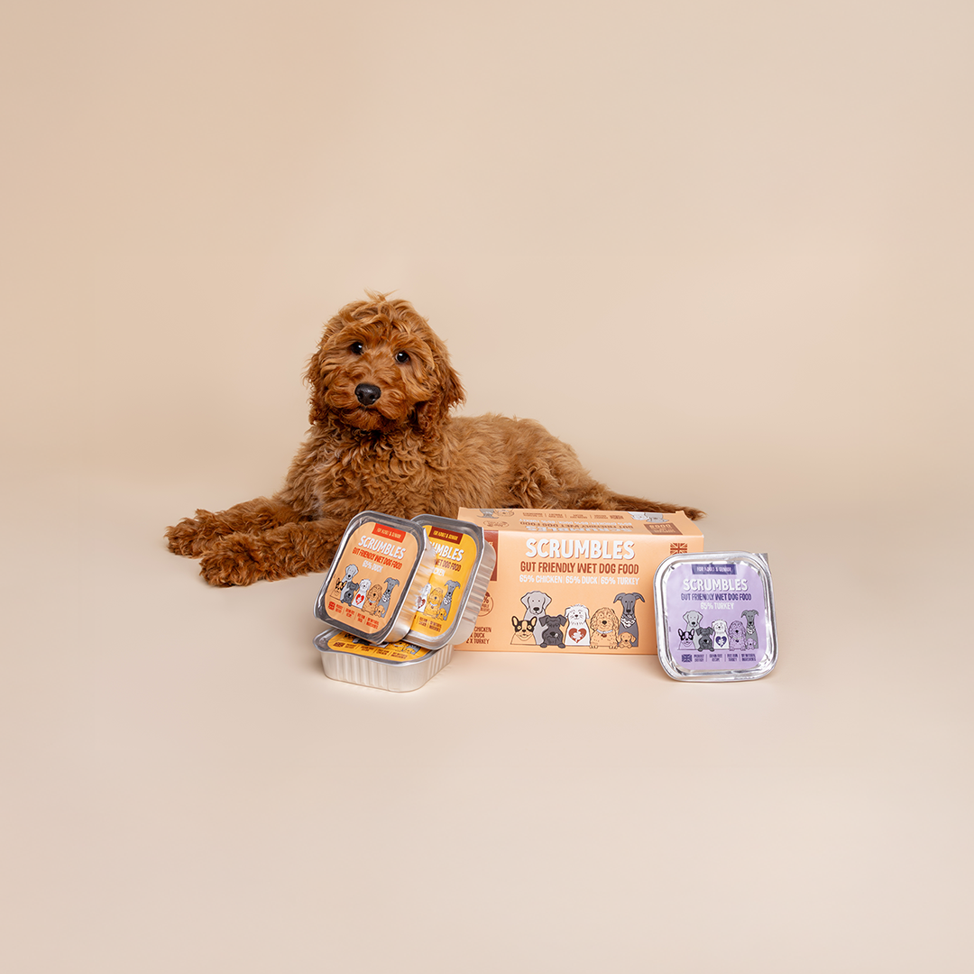 natural dog food