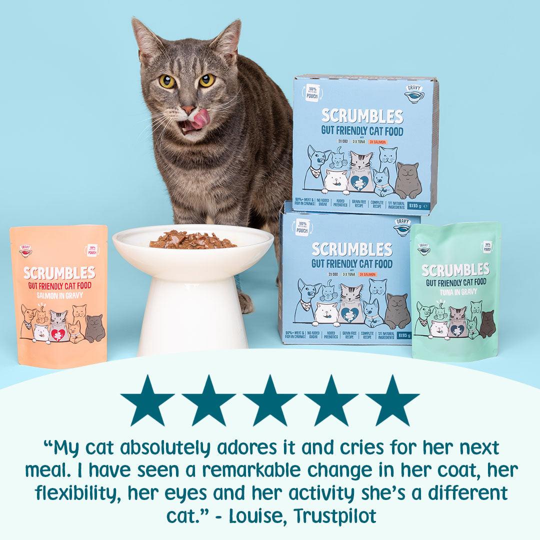 Sachets de nourriture pour chats au poisson en sauce sans céréales