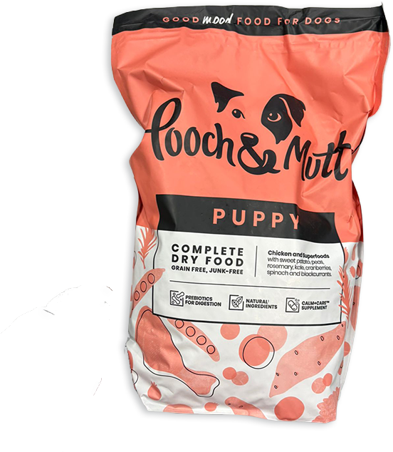 Pooch Puppy